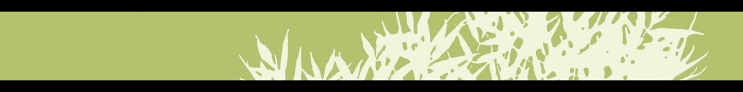 Green Bar for WordPress