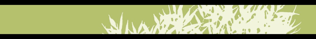 Green Bar for WordPress