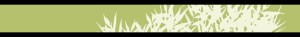 Green Bar for WordPress